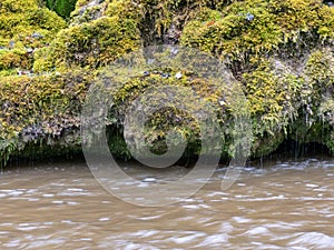Image of a steep river and mossy coastline, the texture of the water gives the feeling of something soft
