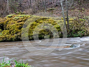 Image of a steep river and mossy coastline, the texture of the water gives the feeling of something soft