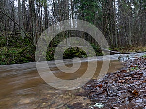 Image of a steep river and mossy coastline, the texture of the water gives the feeling of something soft