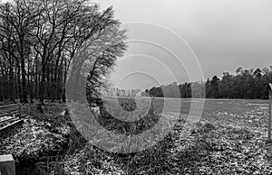 Image of a stream flowing through a winter forest
