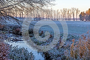 Image of a stream flowing through a winter forest