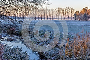 Image of a stream flowing through a winter forest