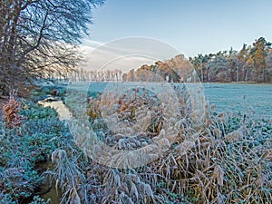 Image of a stream flowing through a winter forest