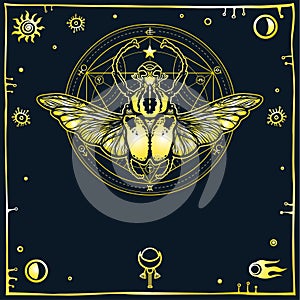 Image of the stylized bug Goliath, a decorative frame. Alchemical circle of transformations.