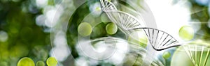 image of stylized models of DNA chains on a blurred green background