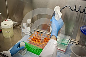 image of a suction pipette in a biosafety cabinet photo