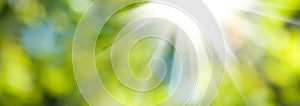 Image of sun rays on a green blurred background