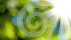 Image of sun rays on a green blurred background
