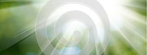 Image of sun rays on a green blurred background