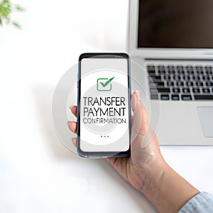 Online transfer payment isolated on white background