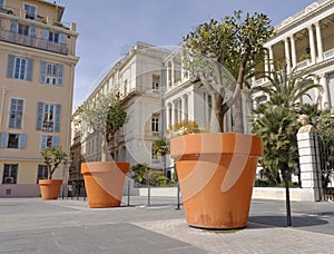 Flower pots in Nice