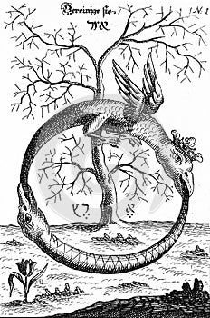 Image taken from the very ancient chemical work of abraham eleazar, of two snakes devouring each other