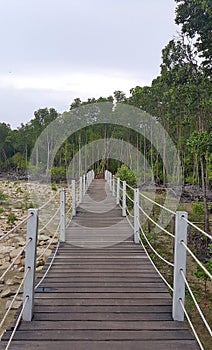 Tanjung Piai National Park