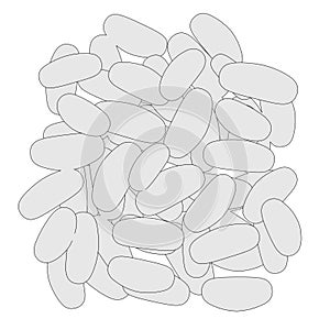 Image of termite eggs