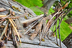 Tilted view of picnic table wood in a park with tree trunks covered in small stick teepee piles