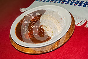 Traditional mole chiapaneco from Mexico photo