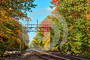 Train tracks empty through fall forest in Maine