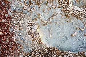 Texture of travertine thermal springs Pamukkale photo