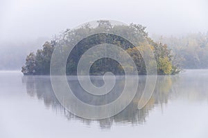 Image of tree island on the foggy lake at morning