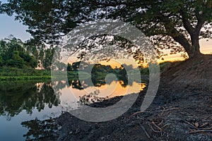 Image of tree water reflections with a beautiful cloudy blue sky