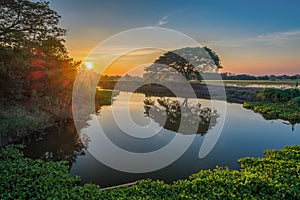 Image of tree water reflections with a beautiful cloudy blue sky