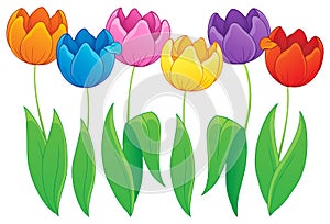 Image with tulip flower theme 2