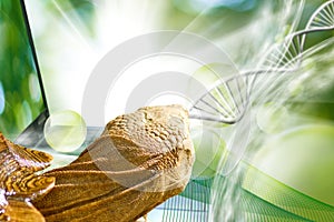 image of turtle on DNA strand background