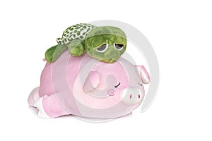 Image of turtle doll on the back pig doll isolated on white background. Animal dolls