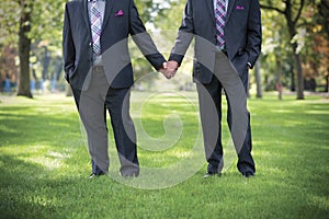 Image of two men Holding hands at gay Wedding