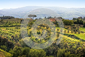 Image of typical tuscan landscape