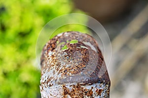 Image of unused rusty metal water pipes