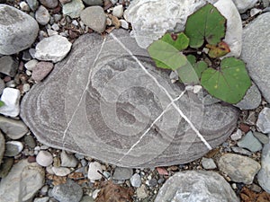 Image of the unusual stone patterns