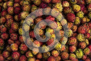 Rambutan fruit for trade, sell, design photo