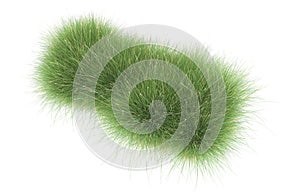 Realistic grass isolated on background. 3d rendering - illustration