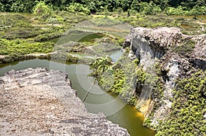 vegetation around the abandoned mine pond. photo