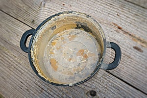 Calcified pot photo