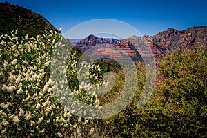 View from Schnebly Hill Road in Sedona, Arizona