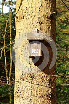 Let`s play with numbered objects