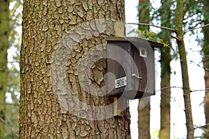 Let`s play with numbered objects