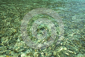 Image of the water surface of the sea in green tones