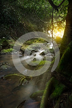 An Image of Waterfall in the morning with sun rays