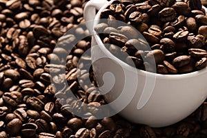Image of white cup full of coffee beans on pile of coffee beans