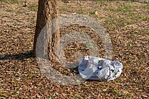 Image of white paper lantern on ground