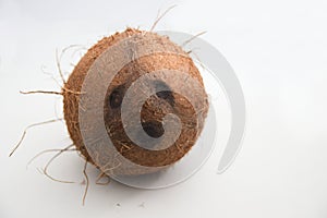 Image of a whole coconut on white background