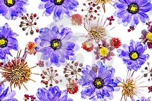 Image of wild flowers frozen in sblock of