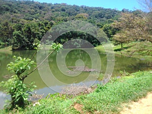 This image is a wild lakes