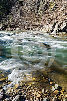 A Image of a Wild Trout Stream