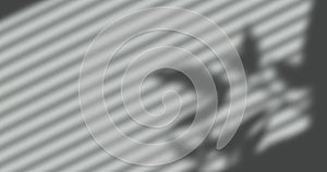 Image of window shadow of leaves and blinds over grey background