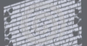 Image of window shadow of leaves blinds and rain falling on grey background