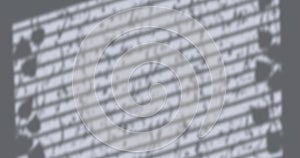 Image of window shadow of leaves blinds and rain falling on grey background